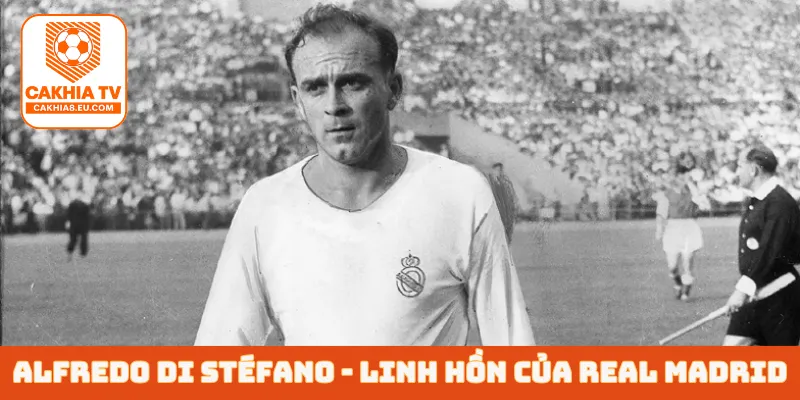 Alfredo Di Stéfano - Linh hồn của Real Madrid